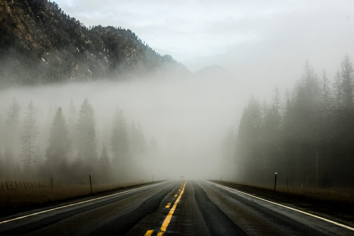 6 Safety Tips On How To Drive In Fog Bama Auto Glass